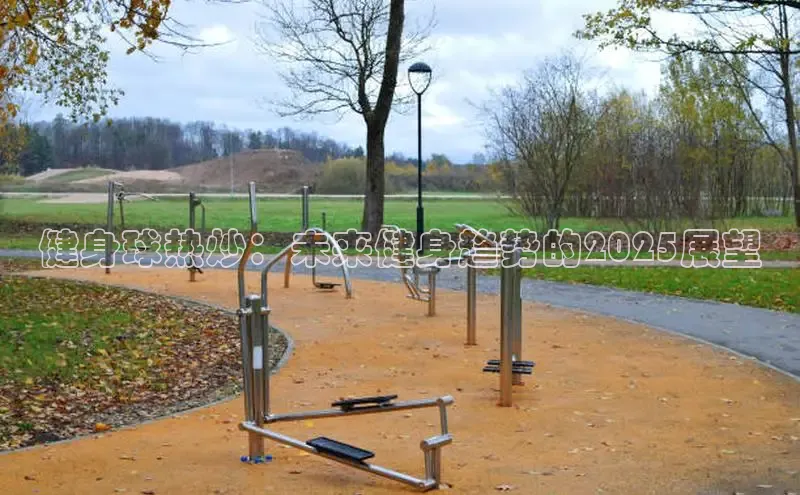 333体育官网入口