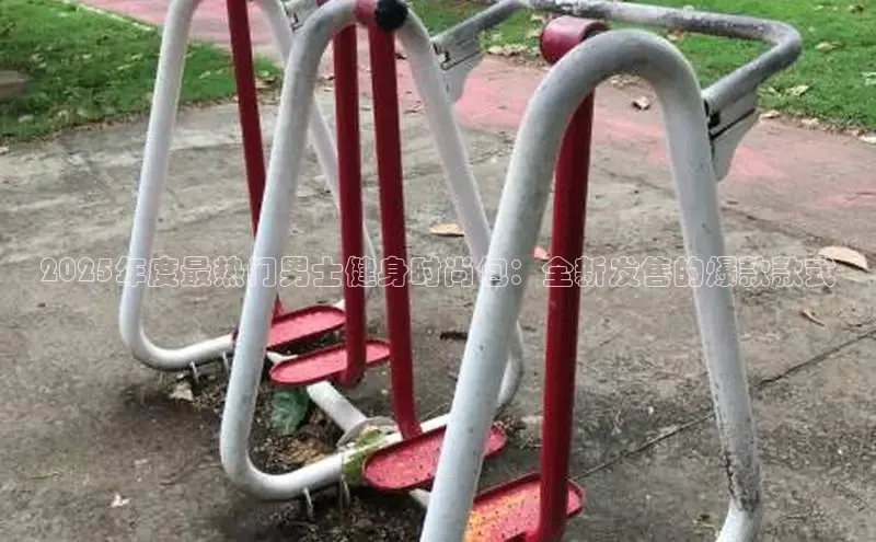 333体育app官方最新版本功能介绍