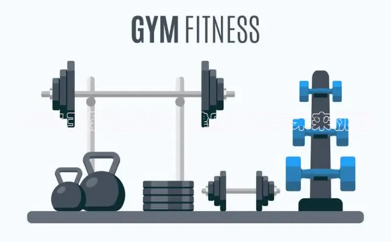 333体育手机版入口