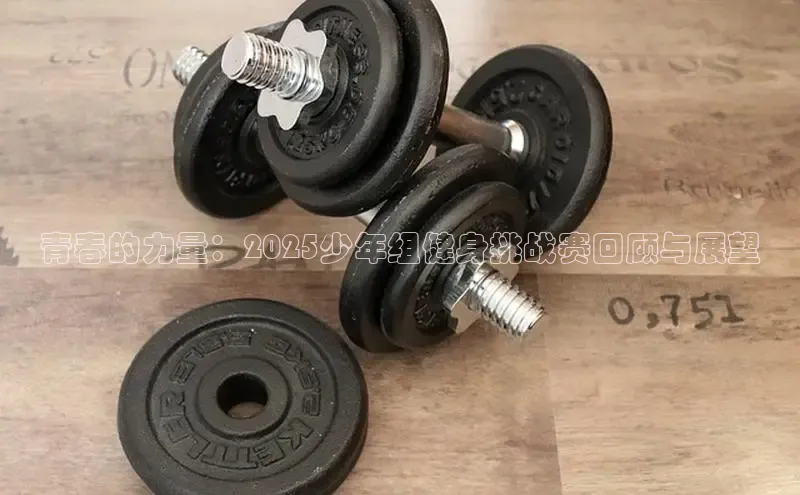 333体育平台网页下载