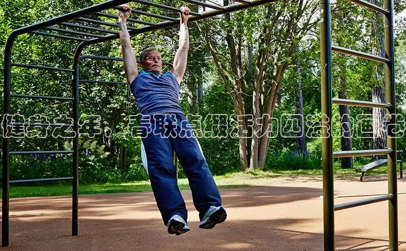 333体育官网在线登录