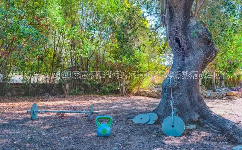 333体育平台app台登录