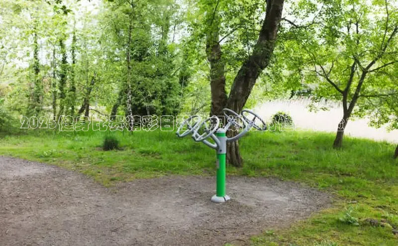 333体育官网app下载