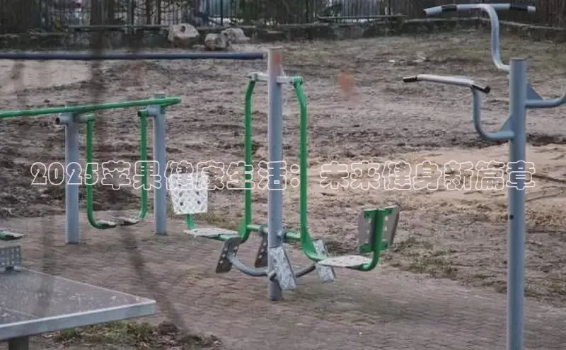 333体育平台官网